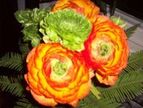 Blommor